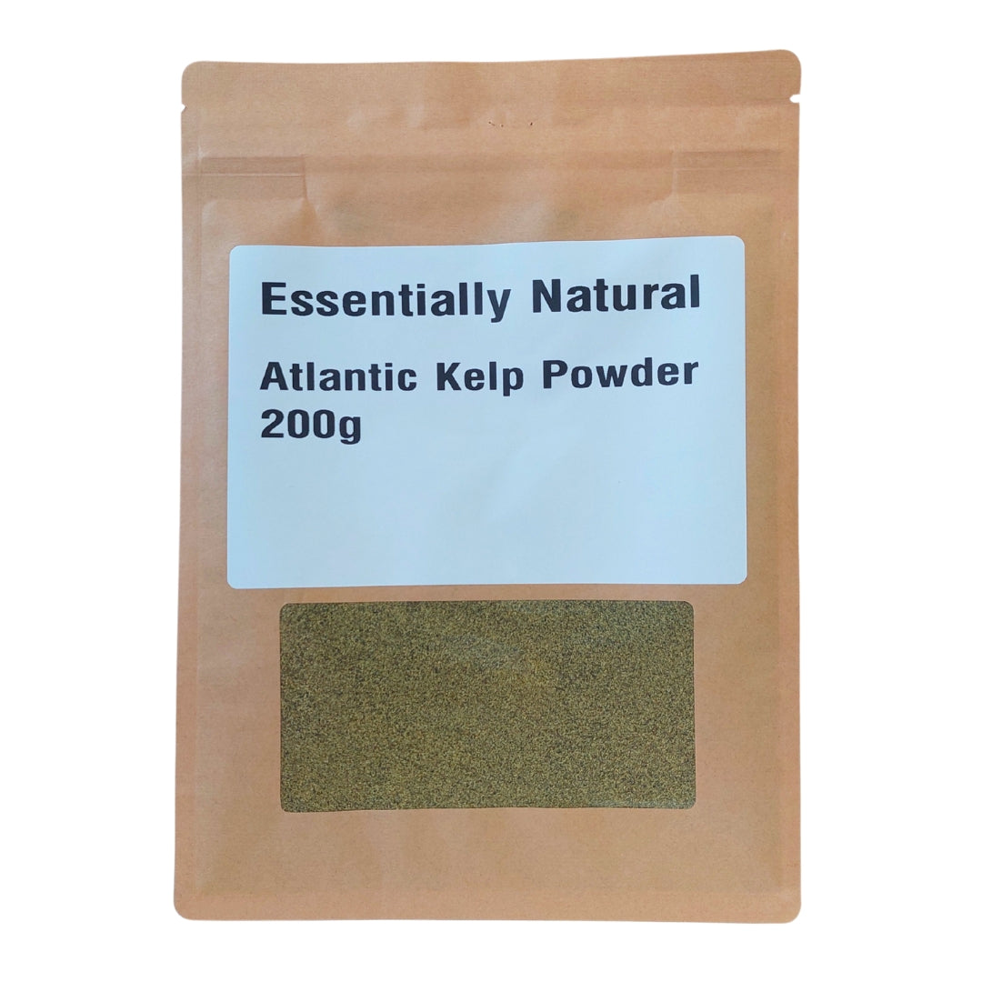 Dried Atlantic Kelp Powder (Ascophyllum nodosum) - Bulk