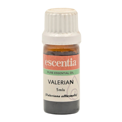 Escentia Valerian (Valeriana officinalis) Pure Essential Oil