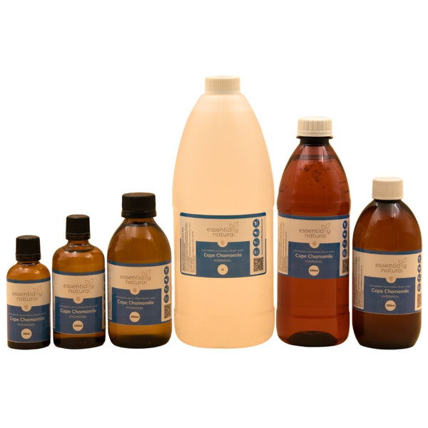 Cape Chamomile Hydrosol - Essentially Natural