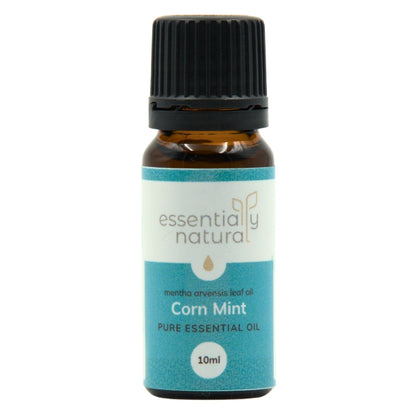 Essentially Natural Corn Mint Essential Oil (Mentha arvensis)