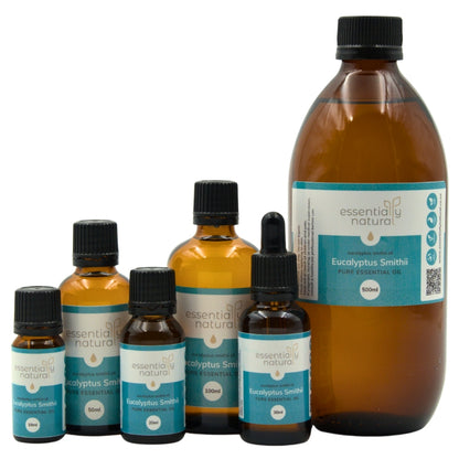Essentially Natural Eucalyptus Smithii Pure Essential Oil