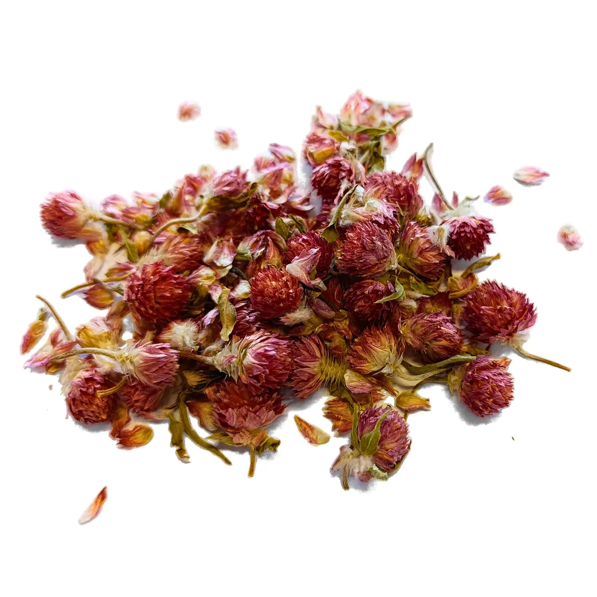 Globe Amaranth Flowers - Flowers From My Meadow (20g)