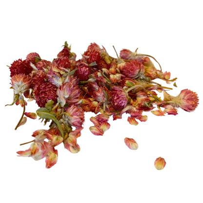 Globe Amaranth Flowers - Flowers From My Meadow (20g)