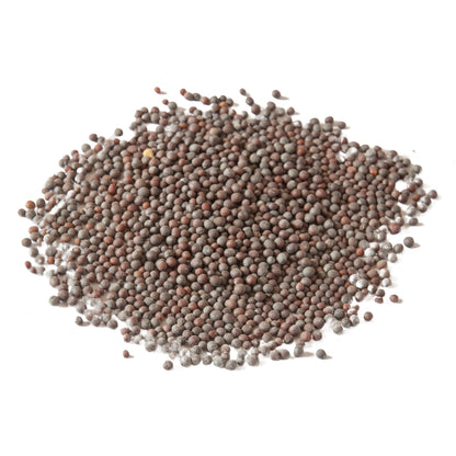 Dried Black Mustard Seeds - 100g