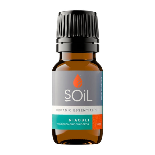 Soil Organic Niaouli Essential Oil