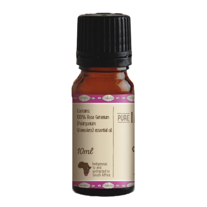 Pure Indigenous Rose Geranium Roseum Essential Oil