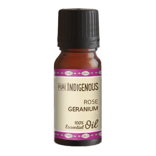 Pure Indigenous Rose Geranium Roseum Essential Oil