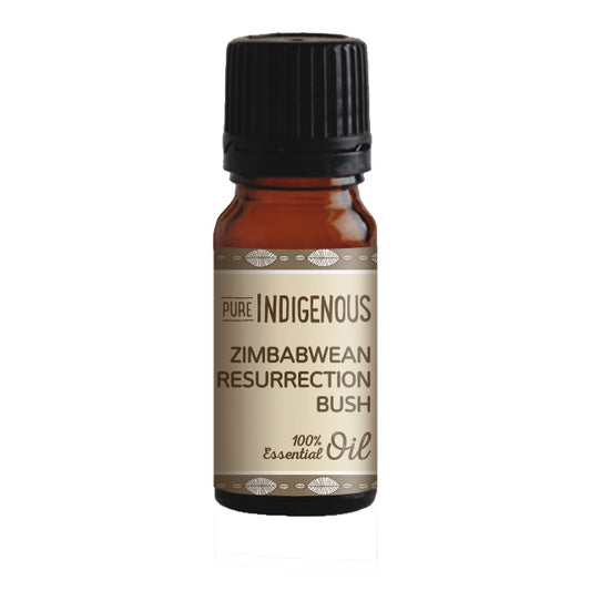 Pure Indigenous Zimbabwean Resurrection Bush Essential Oil