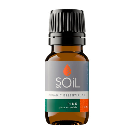 Soil Organic Pine Essential Oil