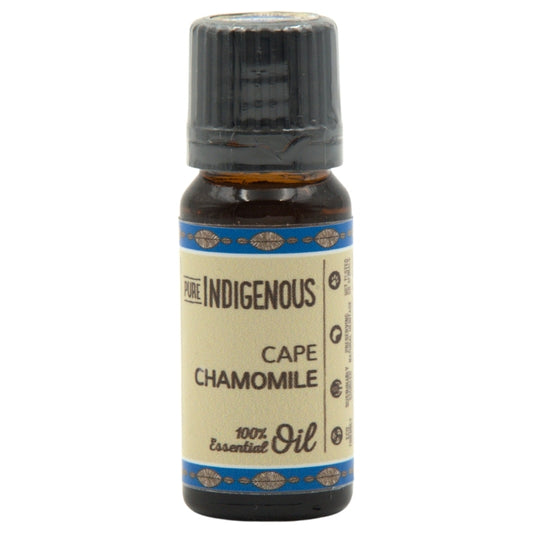 Pure Indigenous Cape Chamomile Essential Oil (Eriocephalus punctulatus)