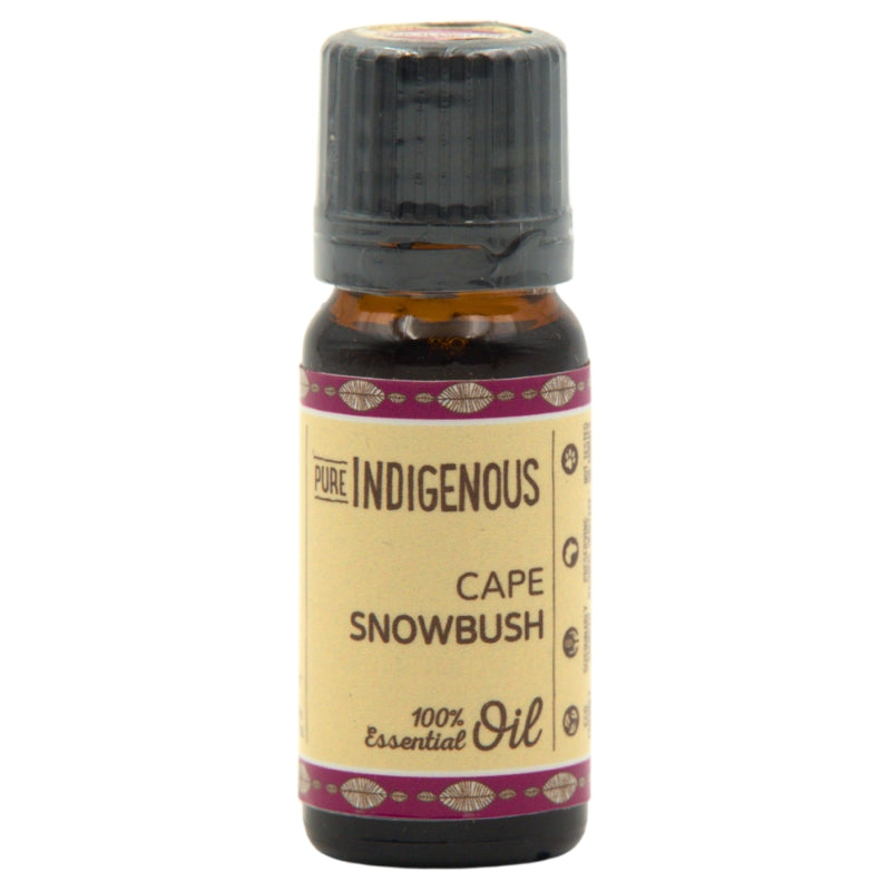 Pure Indigenous Cape Snowbush (Eriocephalus africanus) Essential Oil