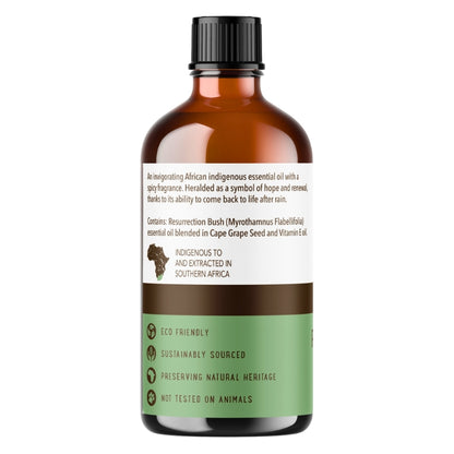 Pure Indigenous Massage Oil - Resurrection Bush