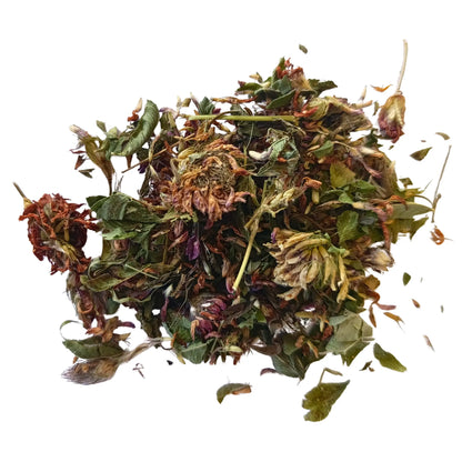 Red Clover Blossoms - Flowers From My Meadow (20g)