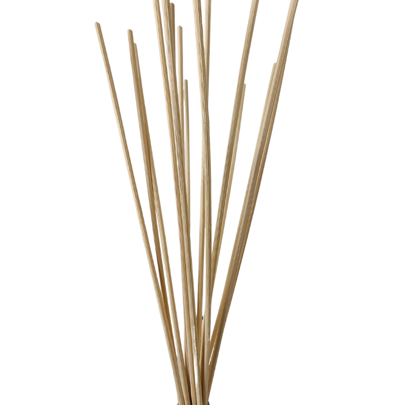 Reed Diffuser Sticks - Pack of 10 – Essentially Natural