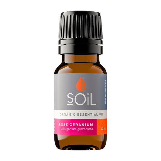 Soil Organic Rose Geranium Essential Oil