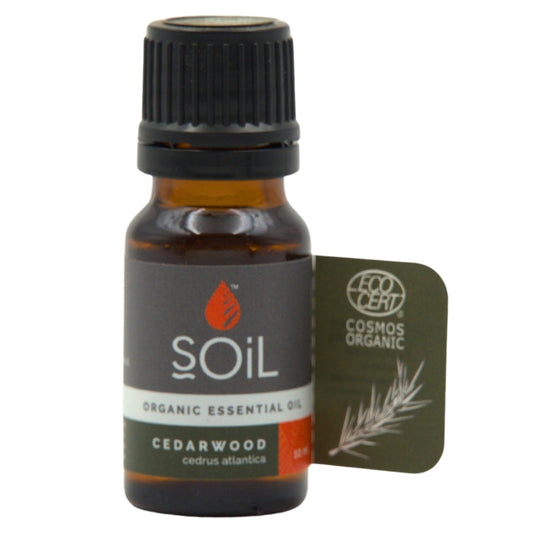 Soil Organic Cedarwood Essential Oil (Cedrus atlantica)
