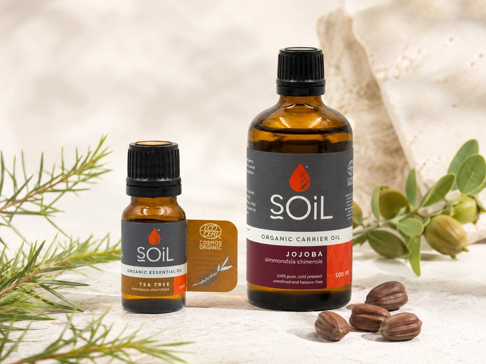 Why We Love SOiL