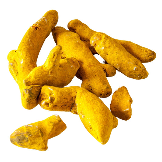 Turmeric Root Pieces (Curcuma longa) Dried - Bulk