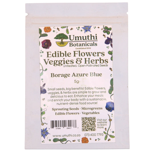 Umuthi Borage (Edible Flowers) Seeds