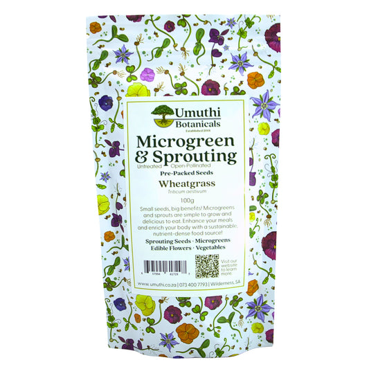 Umuthi Wheatgrass Sprouting Seeds
