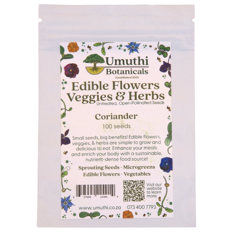 Umuthi Coriander Growing Seeds