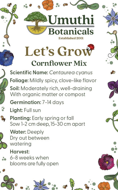 Umuthi Cornflower Mix (Edible Flowers) Growing Seeds