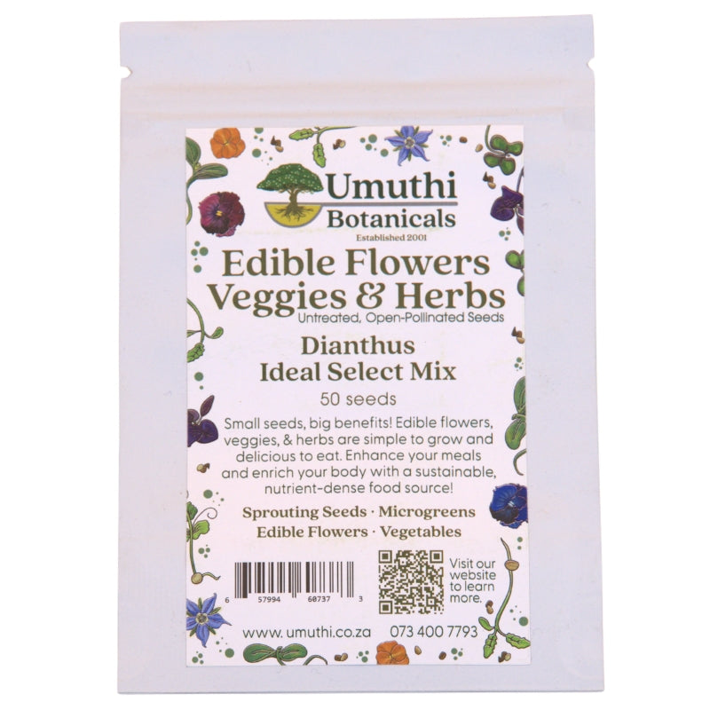 Umuthi Dianthus (Edible Flowers) Growing Seeds