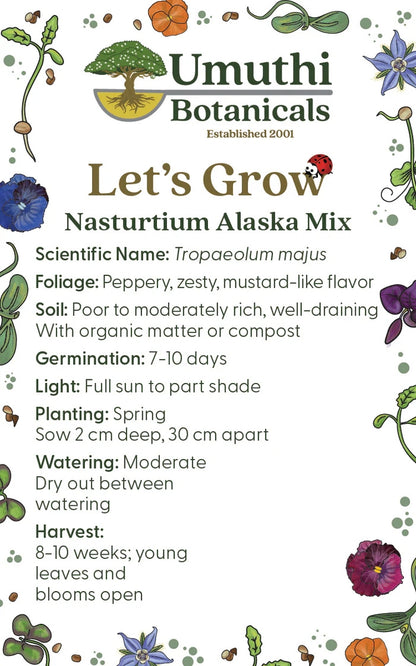 Umuthi Nasturtium Alaska (Edible Flowers) Growing Seeds