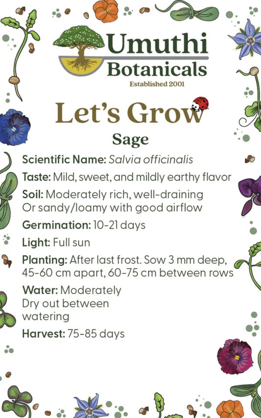 Umuthi Sage Herb Seeds