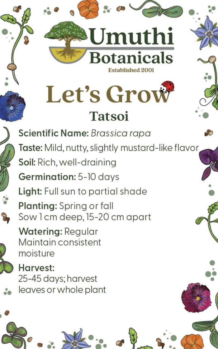 Umuthi Tatsoi Seeds
