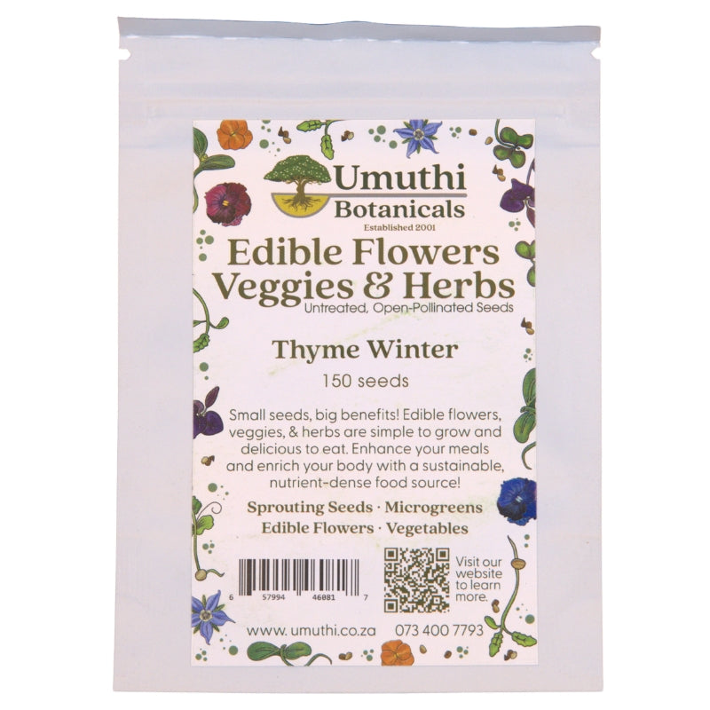 Umuthi Thyme (Winter) Growing Seeds