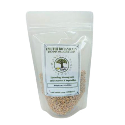 Umuthi Wheatgrass Sprouting Seeds