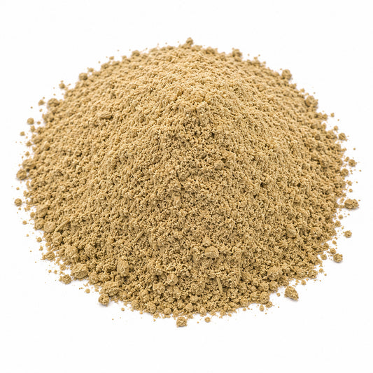 Angelica Root Powder (Angelica archangelica) - Bulk
