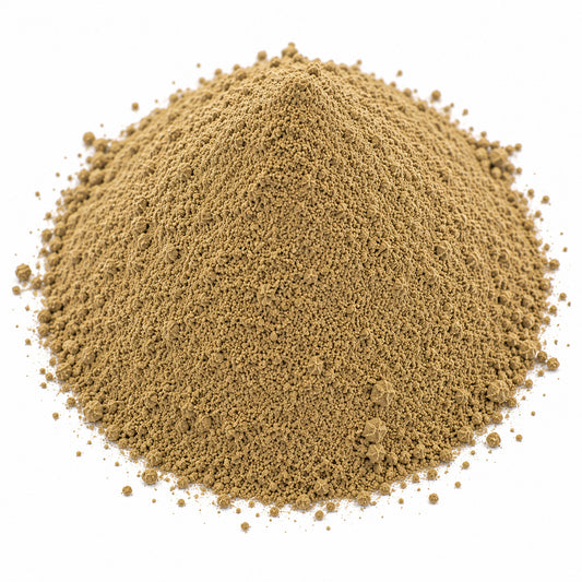 Butcher's Broom Root Powder (Ruscus aculeatis) - Bulk