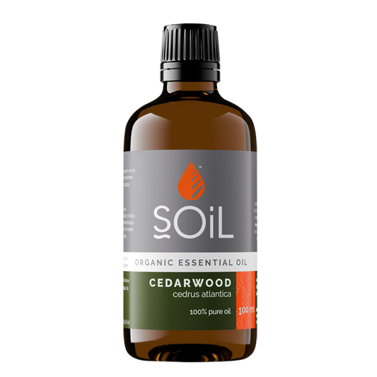 Bottle of Soil Cedarwood essential oil on a white background