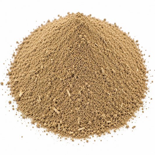 Echinacea Root Powder (Echinacea Purpurea Radix) - Bulk