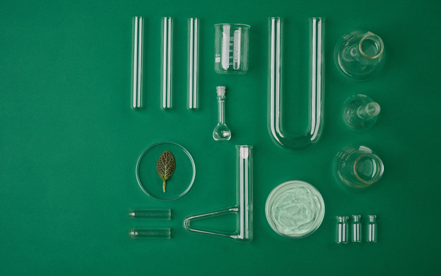 What is Collagen Jelly Cream