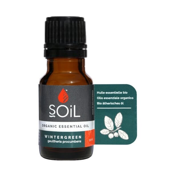 Soil Organic Wintergreen Essential Oil - Essentially Natural