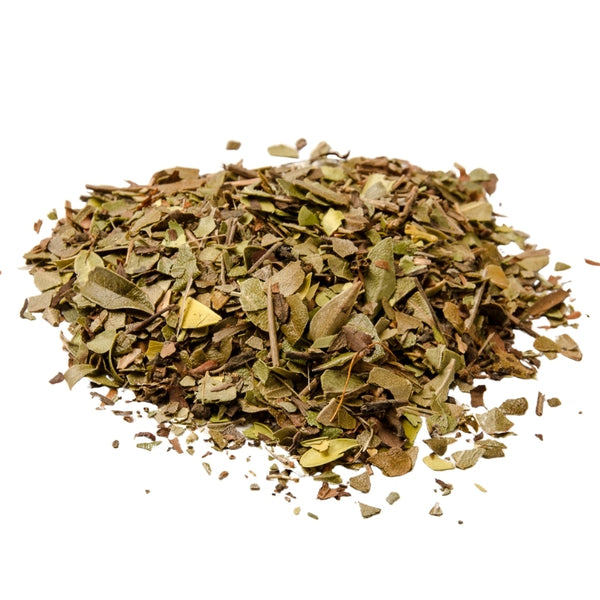 Buy Dried Bearberry Leaves (Arctostaphylos uva-ursi) Online ...