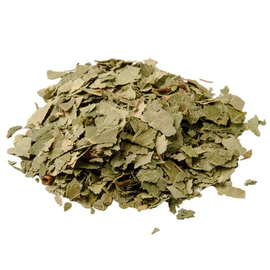 Dried Birch Leaves Cut (Betula alba) - Bulk