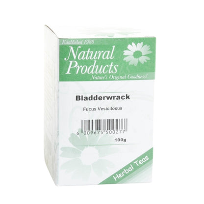 Bladderwrack Kelp (Fucus vesiculosus)