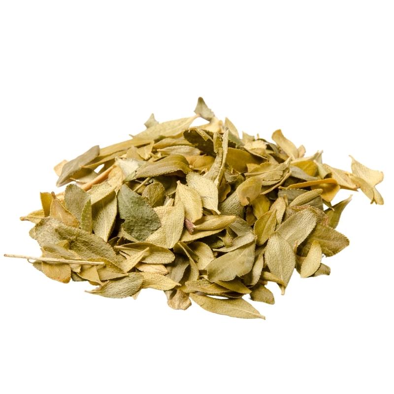 Dried Buchu Leaves Cut (Agathosma Betulina) - Bulk