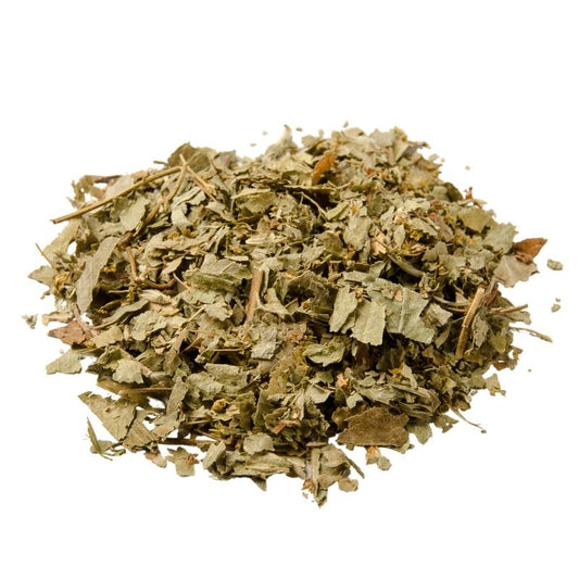 Dried Lady's Mantle Herb (Alchemilla vulgaris) - Bulk