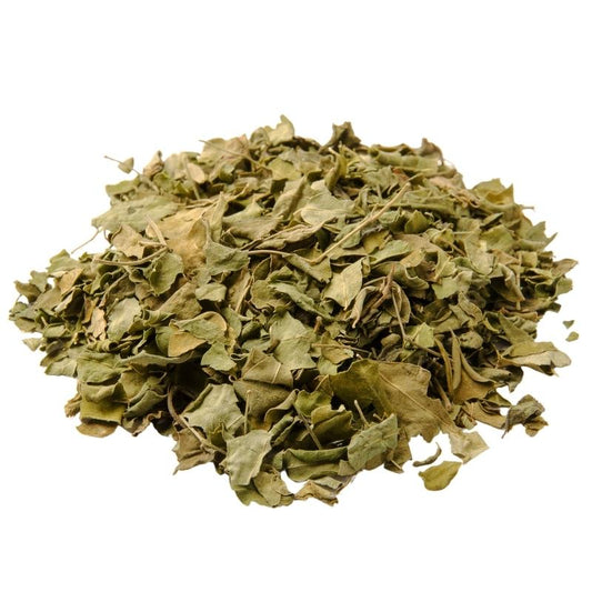 Moringa Leaves (Moringa oleifera) Dried - Bulk