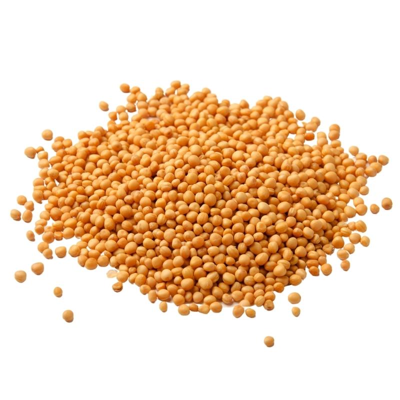 Mustard Seeds Yellow (Brassica alba) Dried - Bulk