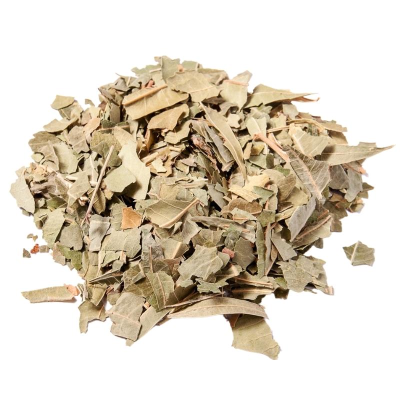 Dried Neem Herb Cut (Azadirachtae Indica Folium) - Bulk