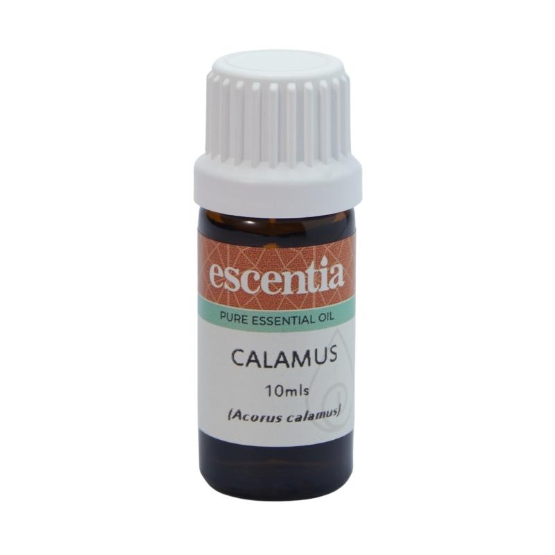 Escentia Calamus Pure Essential Oil
