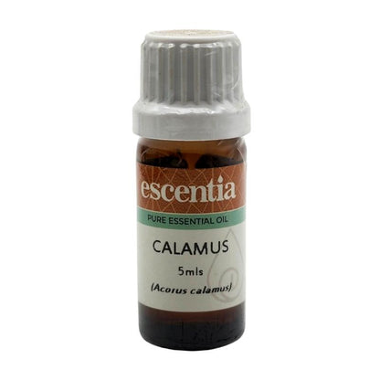 Escentia Calamus Pure Essential Oil
