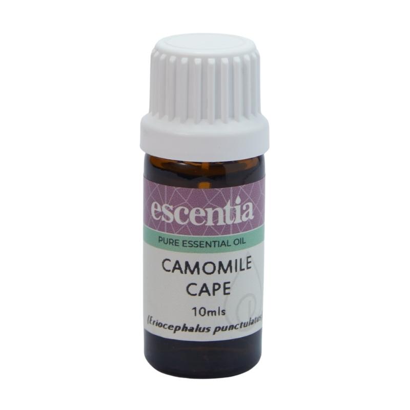 Escentia Cape Camomile Pure Essential Oil