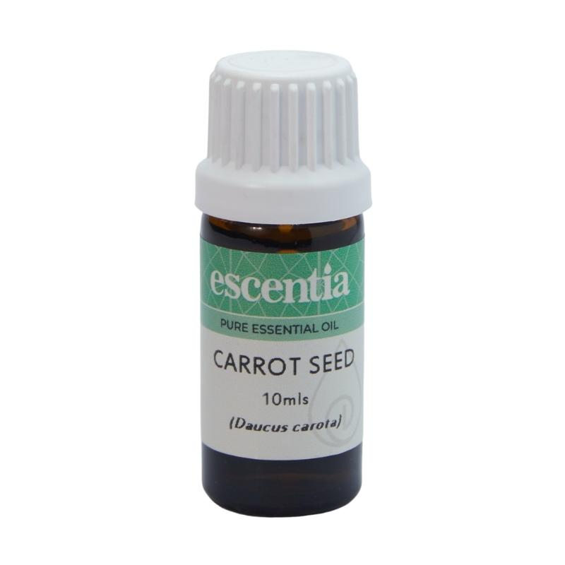Escentia Carrot Seed Pure Essential Oil
